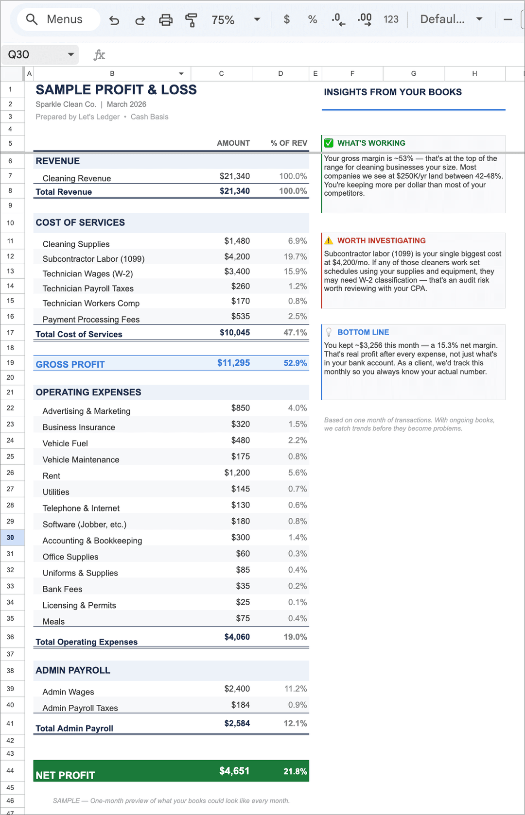 Sample profit and loss statement preview